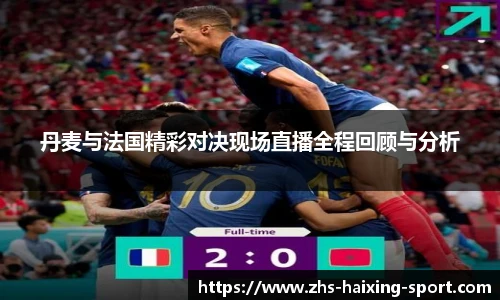丹麦与法国精彩对决现场直播全程回顾与分析